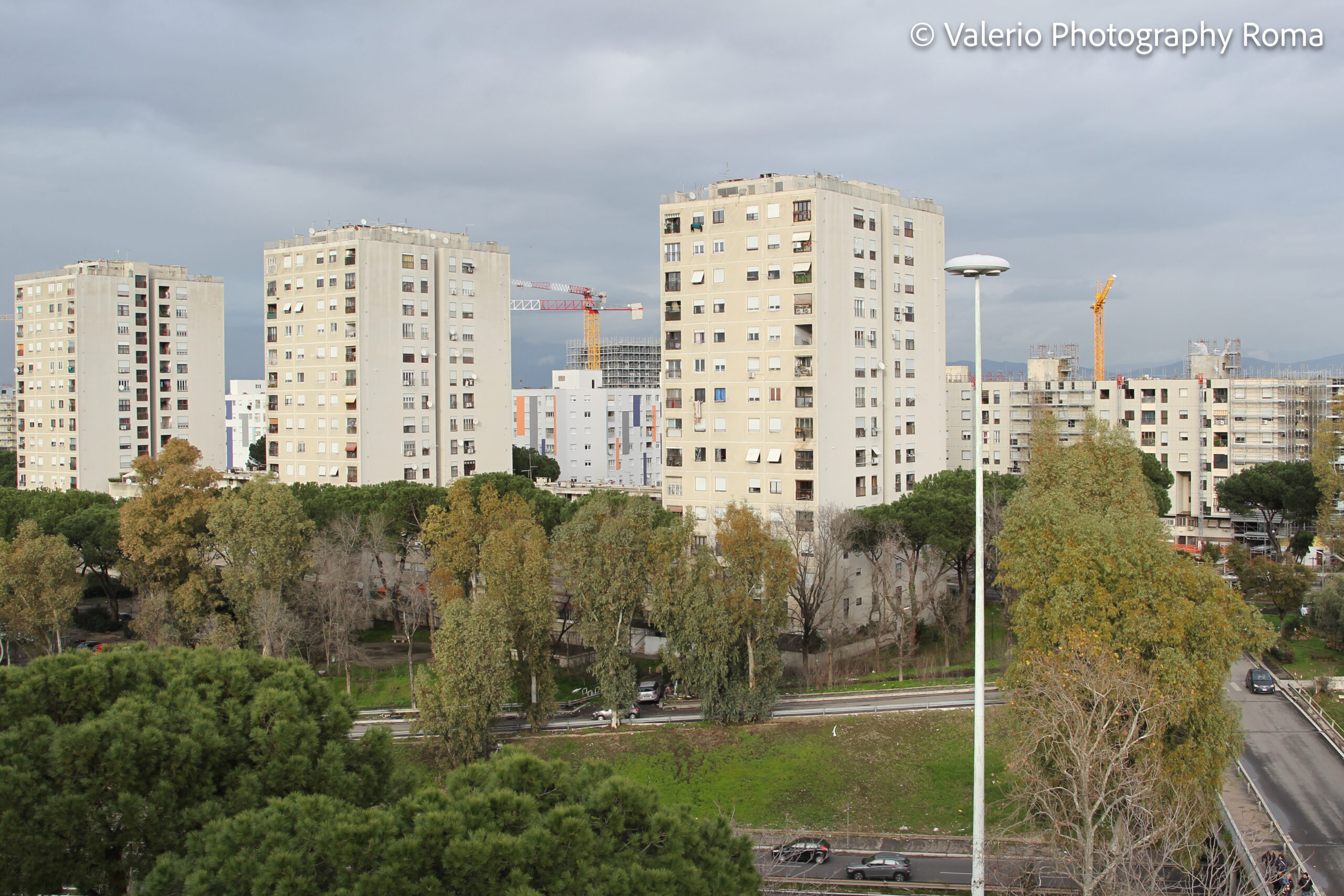 gallery grid image